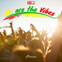 We are the Vibes
