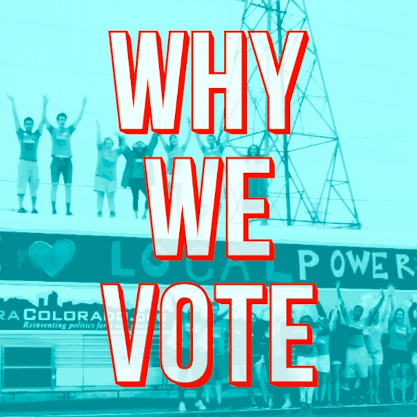 Why We Vote